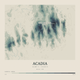 Acadia — Contour Colour print in Graphite (square)