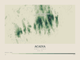 Acadia — Contour Colour print in Forest Floor (landscape)
