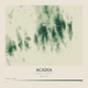 Acadia — Contour Colour print in Forest Floor (square)