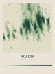 Acadia — Contour Colour print in Forest Floor