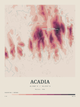 Acadia — Contour Colour print in Rose & Stone