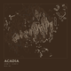 Acadia — Ink print in Atlas Dark (square)