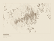 Acadia — Ink print in Atlas Light (landscape)