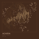 Acadia — Ink print in Desert Dark (square)