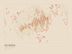 Acadia — Ink print in Desert Light (landscape)