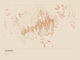 Acadia — Ink print in Desert Light (landscape)