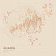 Acadia — Ink print in Desert Light (square)