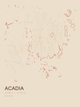 Acadia — Ink print in Desert Light
