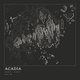 Acadia — Ink print in Ink Dark (square)