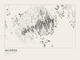 Acadia — Ink print in Ink Light (landscape)