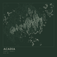 Acadia — Ink print in Ranger Dark (square)