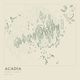 Acadia — Ink print in Ranger Light (square)