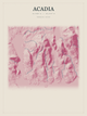 Acadia — Red Relief print in Rose & Stone