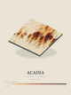 Acadia — Terrain Relief print in Ember & Ochre