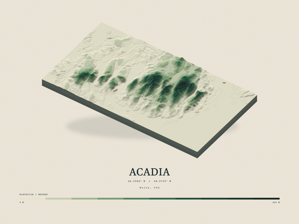 Acadia — Terrain Relief print in Forest Floor (landscape)