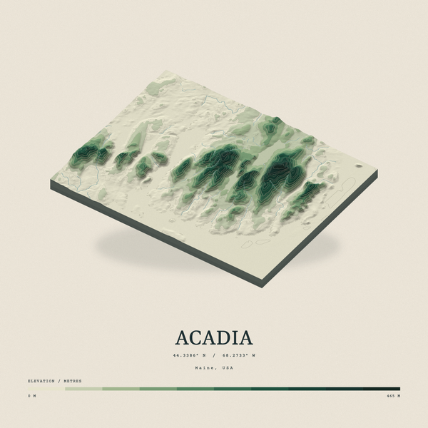 Acadia — Terrain Relief print in Forest Floor (square)