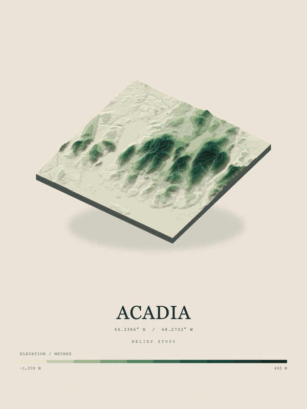 Acadia — Terrain Relief print in Forest Floor