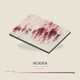 Acadia — Terrain Relief print in Rose & Stone (square)