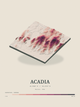 Acadia — Terrain Relief print in Rose & Stone