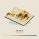 Acadia — Terrain Relief print in Saffron & Slate (square)