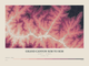 Grand Canyon Rim to Rim — Contour Colour print in Rose & Stone (landscape)