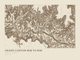 Grand Canyon Rim to Rim — Ink print in Atlas Light (landscape)