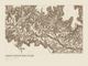 Grand Canyon Rim to Rim — Ink print in Atlas Light (landscape)
