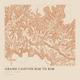 Grand Canyon Rim to Rim — Ink print in Desert Light (square)