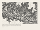 Grand Canyon Rim to Rim — Ink print in Ink Light (landscape)