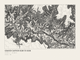 Grand Canyon Rim to Rim — Ink print in Ink Light (landscape)