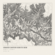 Grand Canyon Rim to Rim — Ink print in Ink Light (square)