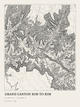 Grand Canyon Rim to Rim — Ink print in Ink Light