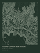 Grand Canyon Rim to Rim — Ink print in Ranger Dark