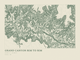 Grand Canyon Rim to Rim — Ink print in Ranger Light (landscape)