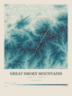 Great Smoky Mountains — Contour Colour print in Fjord