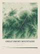 Great Smoky Mountains — Contour Colour print in Forest Floor