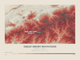 Great Smoky Mountains — Contour Colour print in Red Earth (landscape)