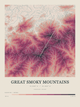 Great Smoky Mountains — Contour Colour print in Rose & Stone