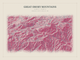 Great Smoky Mountains — Red Relief print in Rose & Stone (landscape)