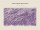 Great Smoky Mountains — Red Relief print in Plum & Clay (landscape)