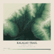 Kalalau Trail — Contour Colour print in Forest Floor (square)