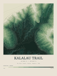 Kalalau Trail — Contour Colour print in Forest Floor
