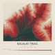 Kalalau Trail — Contour Colour print in Red Earth (square)
