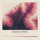 Kalalau Trail — Contour Colour print in Rose & Stone (square)