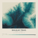 Kalalau Trail — Contour Colour print in Alpine Teal (square)