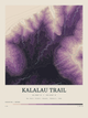 Kalalau Trail — Contour Colour print in Plum & Clay