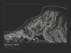 Kalalau Trail — Ink print in Ink Dark (landscape)