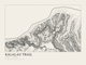 Kalalau Trail — Ink print in Ink Light (landscape)