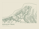 Kalalau Trail — Ink print in Ranger Light (landscape)