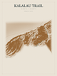 Kalalau Trail — Red Relief print in Saffron & Slate
